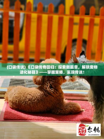 (口袋传说) 《口袋传奇回归：探索新篇章，解锁宠物进化秘籍》——掌握策略，实现传说！